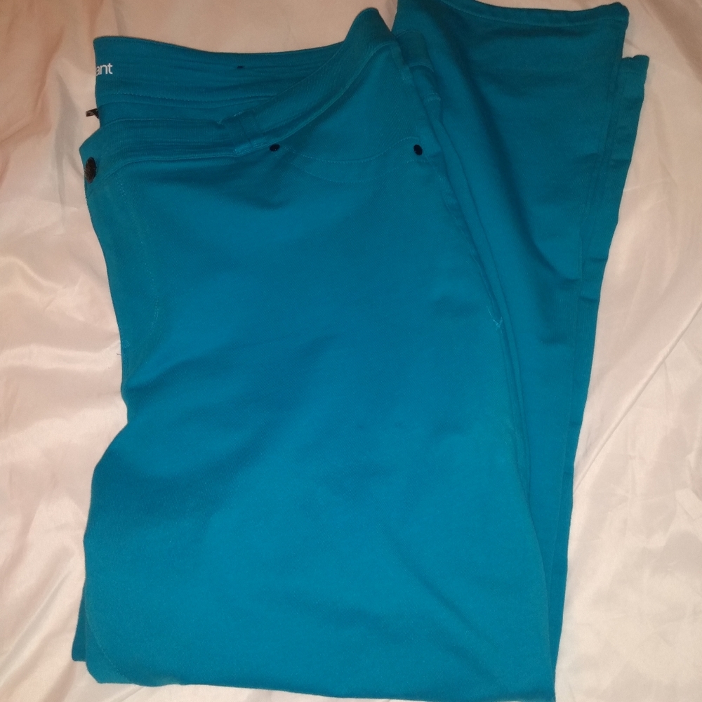 Lane Bryant women's size 22 /leggings